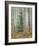 Aspen Forest-Donald Paulson-Framed Giclee Print