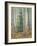 Aspen Forest-Donald Paulson-Framed Giclee Print