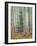 Aspen Forest-Donald Paulson-Framed Giclee Print