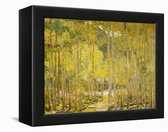 Aspen Forest-Oscar Berninghouse-Framed Stretched Canvas