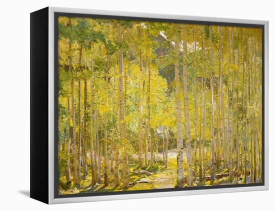 Aspen Forest-Oscar Berninghouse-Framed Stretched Canvas