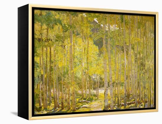 Aspen Forest-Oscar Berninghouse-Framed Stretched Canvas