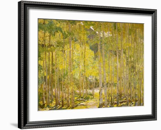 Aspen Forest-Oscar Berninghouse-Framed Art Print