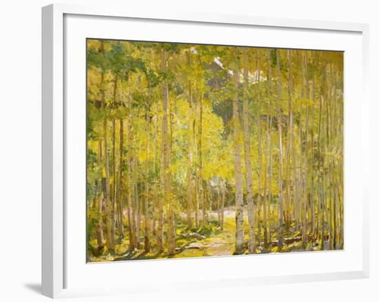 Aspen Forest-Oscar Berninghouse-Framed Art Print