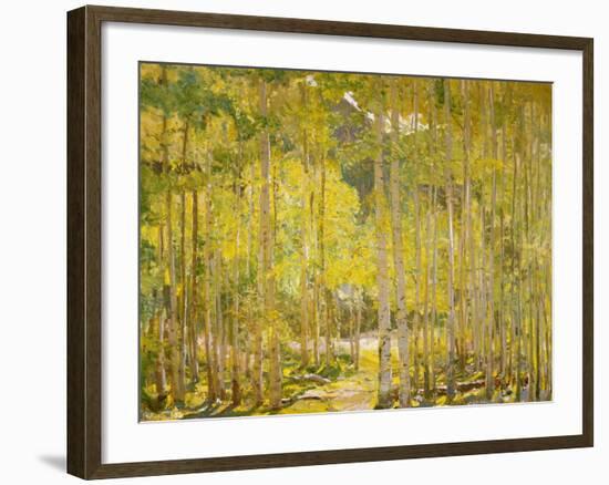 Aspen Forest-Oscar Berninghouse-Framed Art Print