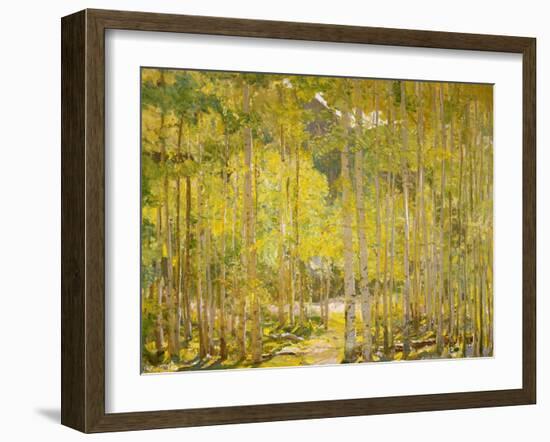 Aspen Forest-Oscar Berninghouse-Framed Art Print