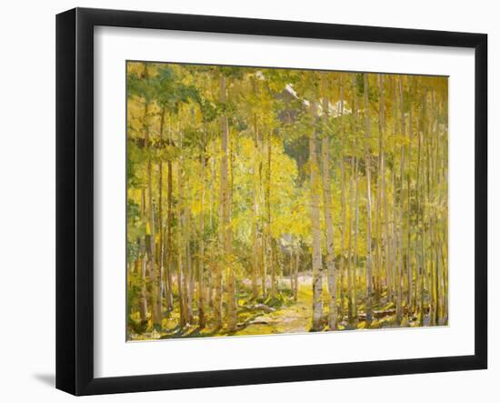 Aspen Forest-Oscar Berninghouse-Framed Art Print