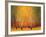 Aspen Glow-Gary Max Collins-Framed Art Print