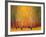 Aspen Glow-Gary Max Collins-Framed Art Print
