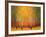 Aspen Glow-Gary Max Collins-Framed Art Print