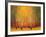 Aspen Glow-Gary Max Collins-Framed Art Print