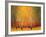 Aspen Glow-Gary Max Collins-Framed Art Print