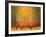 Aspen Glow-Gary Max Collins-Framed Art Print