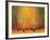 Aspen Glow-Gary Max Collins-Framed Art Print