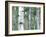 Aspen Grove, Colorado, USA-Julie Eggers-Framed Photographic Print