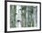 Aspen Grove, Colorado, USA-Julie Eggers-Framed Photographic Print