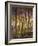 Aspen Grove, Gunnison National Forest, Colorado, USA-Charles Gurche-Framed Photographic Print