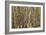 Aspen Grove I-Larry Malvin-Framed Photographic Print