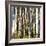 Aspen Grove I-Kathy Mansfield-Framed Photographic Print