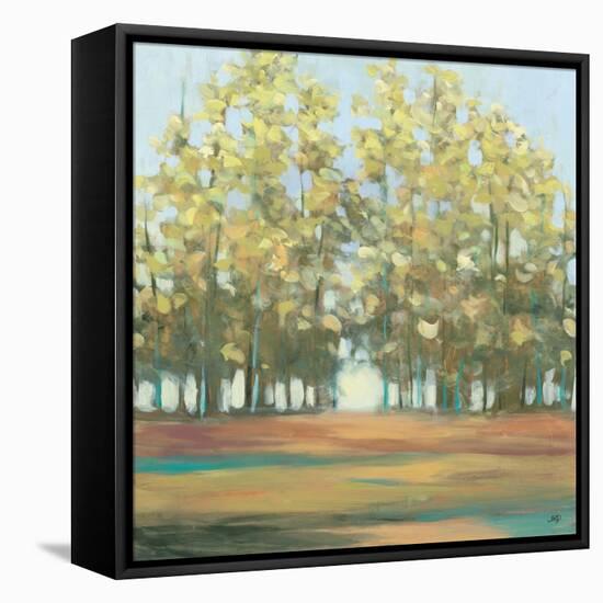 Aspen Grove I-Julia Purinton-Framed Stretched Canvas