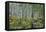 Aspen Grove II-Larry Malvin-Framed Premier Image Canvas