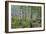 Aspen Grove II-Larry Malvin-Framed Photographic Print