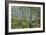 Aspen Grove II-Larry Malvin-Framed Photographic Print