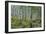 Aspen Grove II-Larry Malvin-Framed Photographic Print