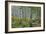 Aspen Grove II-Larry Malvin-Framed Photographic Print