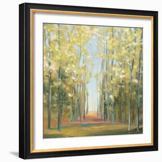 Aspen Grove II-Julia Purinton-Framed Art Print