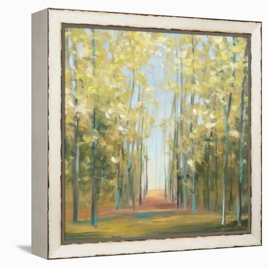 Aspen Grove II-Julia Purinton-Framed Stretched Canvas