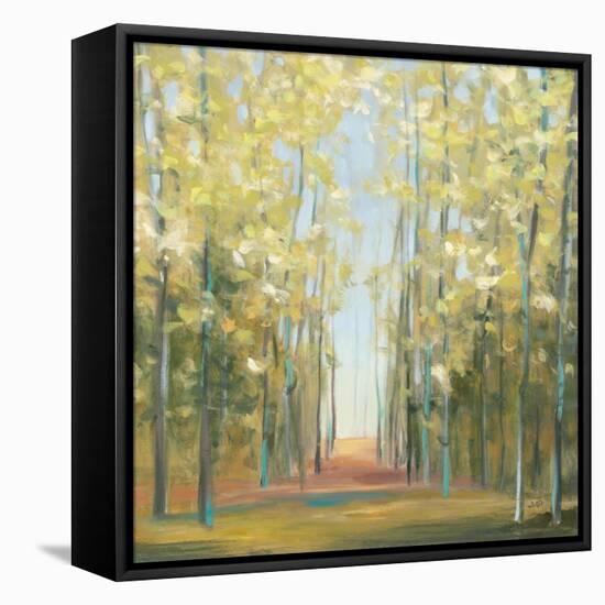 Aspen Grove II-Julia Purinton-Framed Stretched Canvas