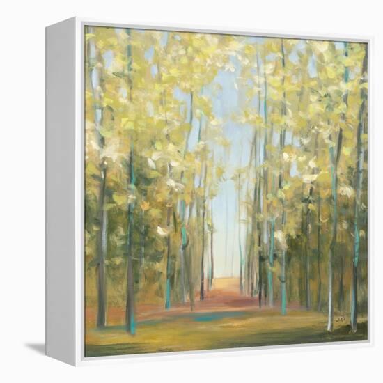 Aspen Grove II-Julia Purinton-Framed Stretched Canvas