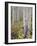 Aspen Grove in Early Fall, White River National Forest, Colorado-James Hager-Framed Photographic Print