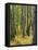 Aspen grove, Okanogan National Forest, Washington, USA-Charles Gurche-Framed Premier Image Canvas