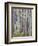 Aspen Grove with Early Fall Colors, Maroon Lake, Colorado, United States of America, North America-James Hager-Framed Premium Photographic Print