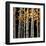 Aspen Grove-Michael O'Toole-Framed Giclee Print