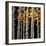 Aspen Grove-Michael O'Toole-Framed Giclee Print