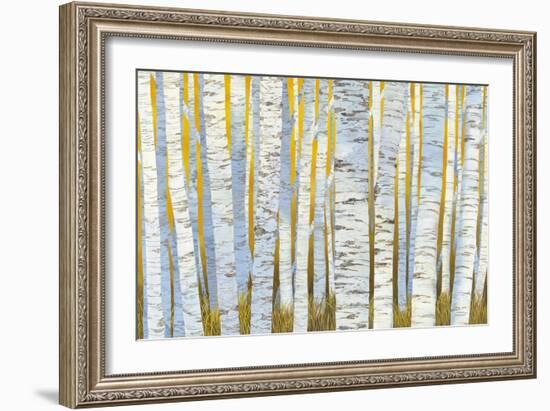 Aspen Grove-Kathrine Lovell-Framed Art Print