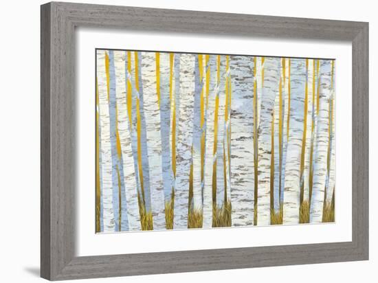 Aspen Grove-Kathrine Lovell-Framed Art Print