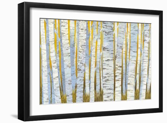 Aspen Grove-Kathrine Lovell-Framed Art Print