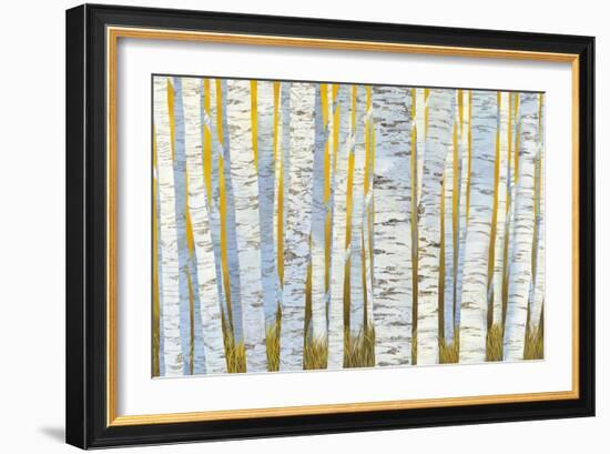 Aspen Grove-Kathrine Lovell-Framed Art Print