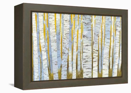 Aspen Grove-Kathrine Lovell-Framed Stretched Canvas