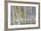 Aspen in Meadow 2-Don Paulson-Framed Giclee Print