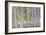 Aspen in Meadow 2-Don Paulson-Framed Giclee Print