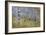 Aspen in Meadow-Don Paulson-Framed Giclee Print