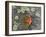 Aspen Leaf Turning Red and Orange on a Lichen-Covered Rock-James Hager-Framed Photographic Print