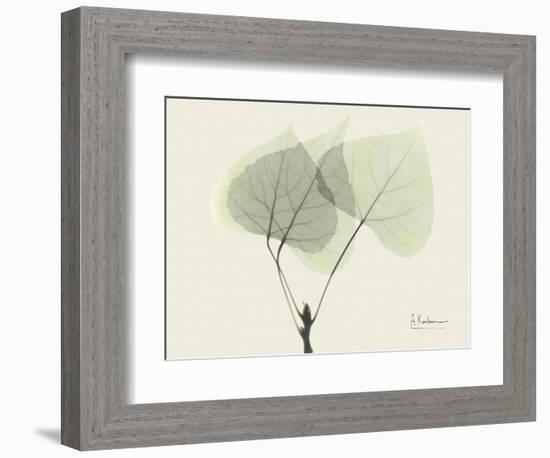 Aspen Moment-Albert Koetsier-Framed Art Print