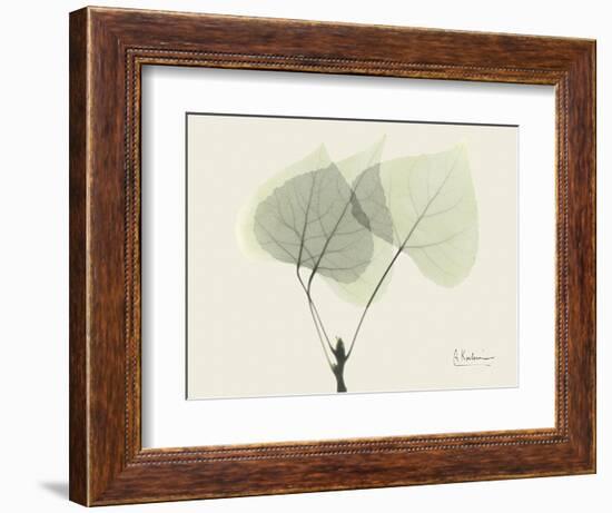 Aspen Moment-Albert Koetsier-Framed Art Print