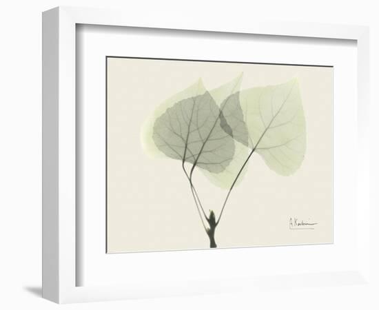 Aspen Moment-Albert Koetsier-Framed Art Print